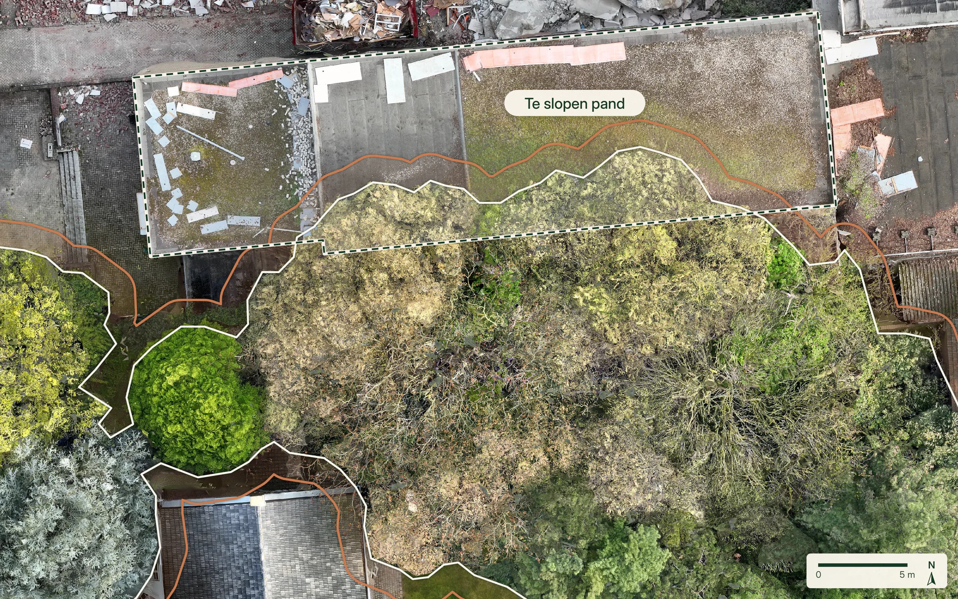 Uitsnede van de orthofoto aan de sloopzijde: de kroonprojectie (wit) en de kwetsbare boomzone (terracotta) lopen tot over het dak van het gestippeld omlijnde te slopen pand