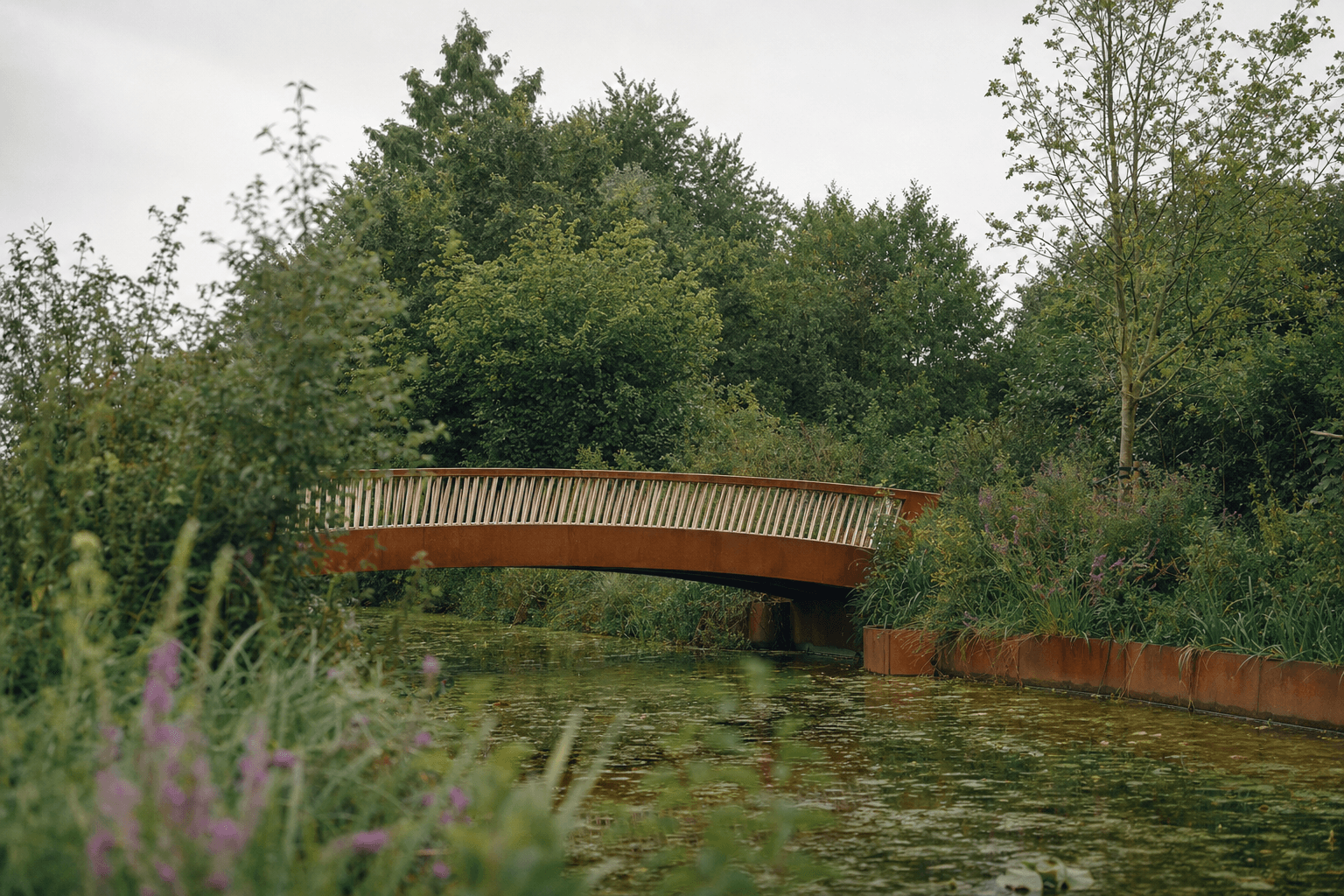 Voetgangersbrug in een natuurlijk landschap met riet en water
