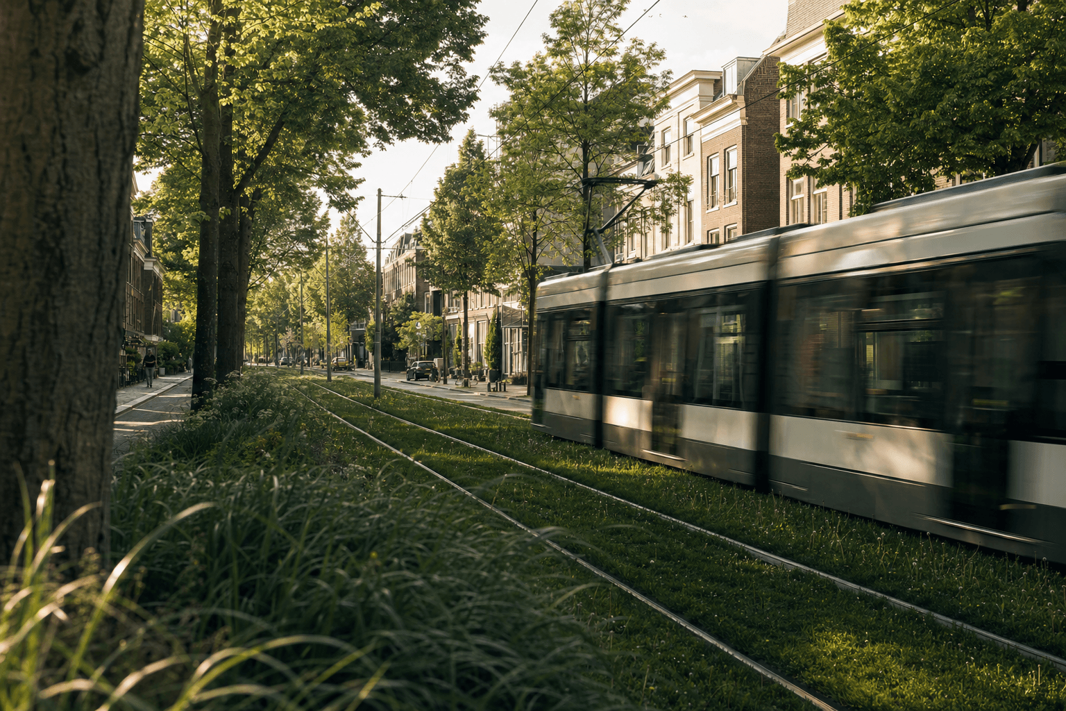 Trambaan met groene berm tussen stedelijke bebouwing